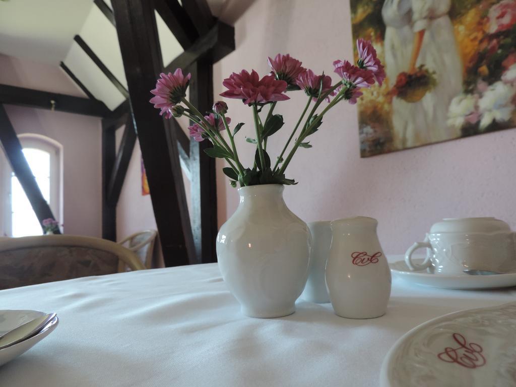 Hotel Carl Von Clausewitz Burg bei Magdeburg Extérieur photo